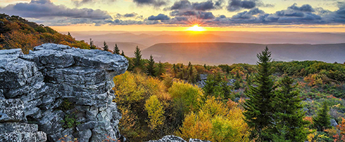 BCSE TEST DOLLY SODS